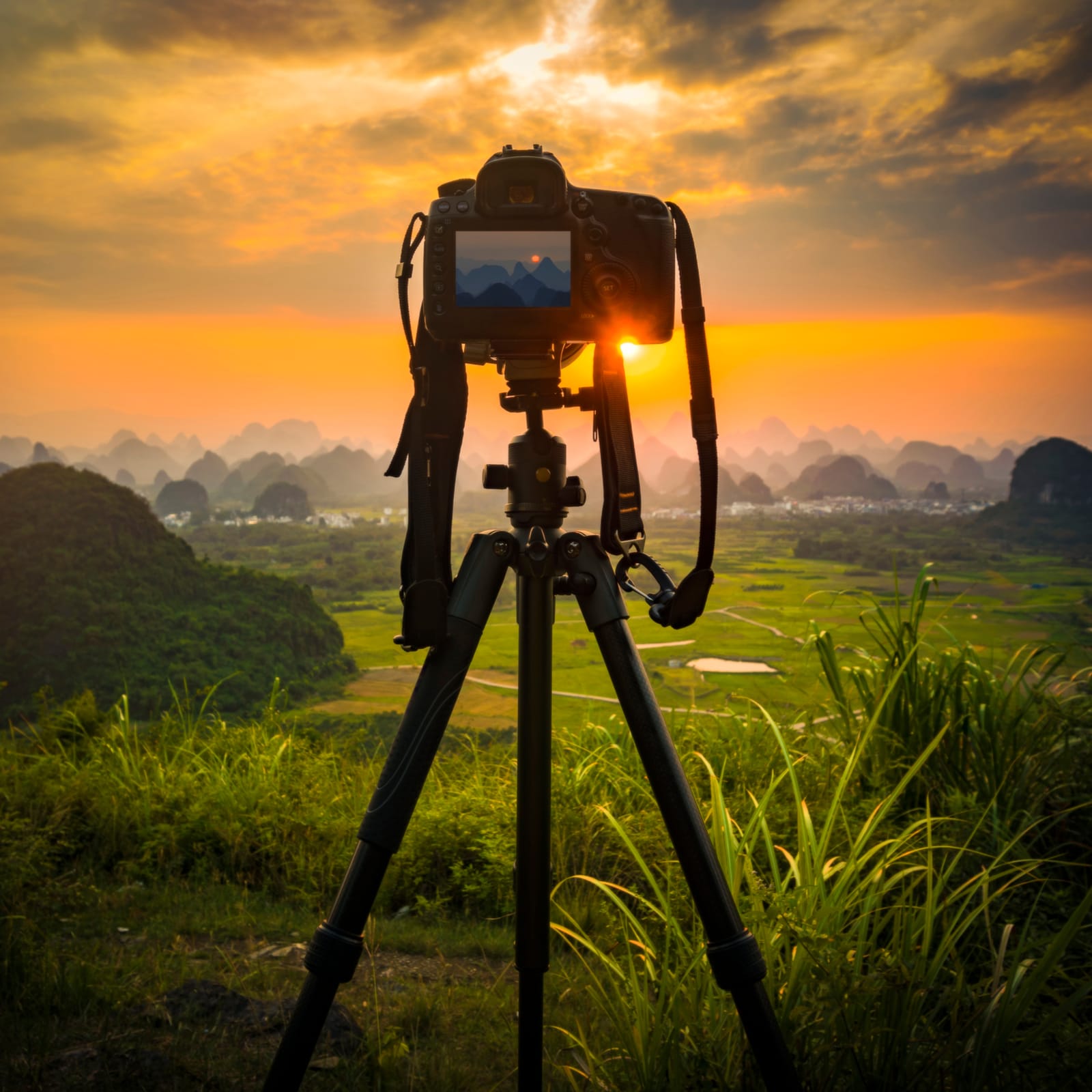 Photographer